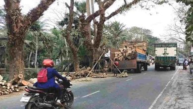 ব্যাস্ততম আঞ্চলিক মহাসড়ক দখল করে গাছের গুড়ির জমজমাট ব্যবসা