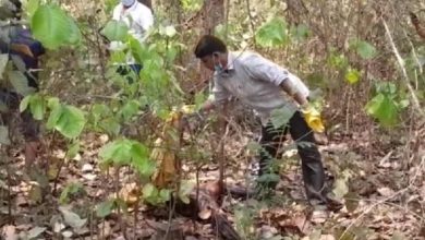 শ্রীপুরে শালবনের ভেতর শিয়ালে খাওয়া একজনের অর্ধগলিত মরদেহ উদ্ধার