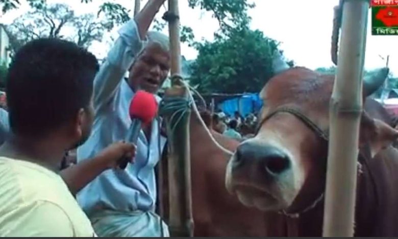 ফেসবুক-ইউটিউবারদের যন্ত্রণায় অতিষ্ঠ পশুর হাটের ক্রেতা-বিক্রেতা! 