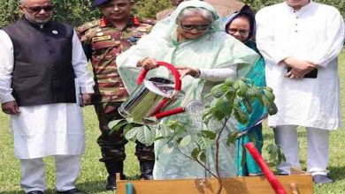 বাংলাদেশকে রক্ষায় বৃক্ষরোপণ করতে দেশবাসীর প্রতি আহ্বান প্রধানমন্ত্রীর