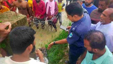 ধান ক্ষেত দেখতে গিয়ে লাশ হলেন কৃষক জামাল