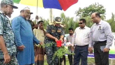 ৫ হাজার গাছের চারা রোপন করবে পায়রা বন্দর