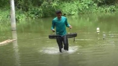 ভোলায় মুক্তা চাষ করে সফল দুই যুবক