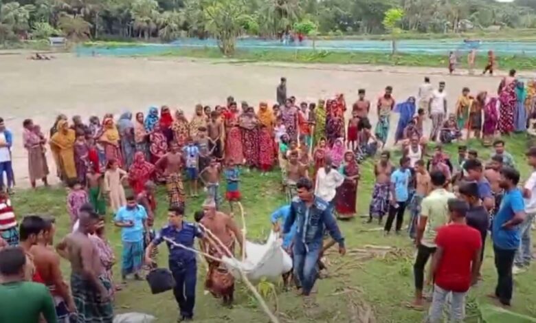 ট্রাকে করে ধান নিয়ে বাড়ি ফেরার সময় ট্রাক উল্টে ২ শ্রমিকের মৃত্যু হয়েছে এ ঘটনায় আহত হয়েছেন ১১ জন