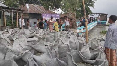 টানা ২৪ ঘণ্টার বৃষ্টিতে তিস্তা নদীর পানি বৃদ্ধি পেয়ে লালমনিরহাটের আদিতমারী উপজেলার মহিষখোচা ইউনিয়নের গোবর্দ্ধনে বন্যা নিয়ন্ত্রণ ২নং সলিডারী স্পার বাঁধের সিসি ব্লক ধসে পড়েছে। বালুভর্তি জিও ব্যাগ ফেলে বাঁধ রক্ষার চেষ্টা করছে তীরবর্তী মানুষ ও পানি উন্নয়ন বোর্ড (পাউবো)। তবে কিছুতেই আটকানো যাচ্ছে না। রাতে পানি আরও বৃদ্ধি পেলে ভাঙন বেড়ে নদীর গতিপথ পরিবর্তন হতে পারে বলে শঙ্কা স্থানীয়দের।