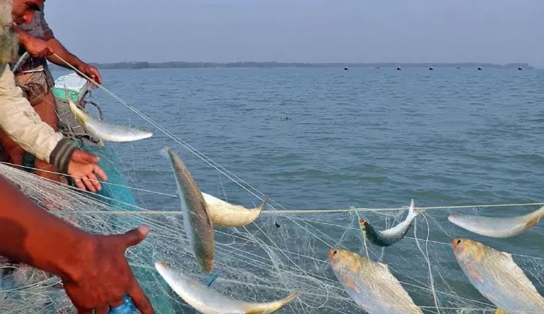 ১৩ অক্টোবর থেকে ২২ দিন ইলিশ ধরায় নিষেধাজ্ঞা