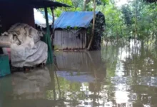 টানা বৃষ্টিতে ফের ডুবছে নোয়াখালী, পানিবন্দি ১২ লাখ মানুষ