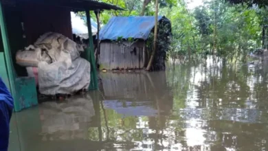 টানা বৃষ্টিতে ফের ডুবছে নোয়াখালী, পানিবন্দি ১২ লাখ মানুষ