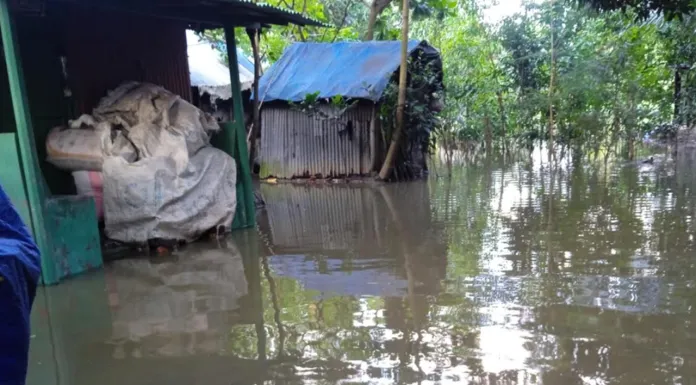 টানা বৃষ্টিতে ফের ডুবছে নোয়াখালী পানিবন্দি ১২ লাখ মানুষ