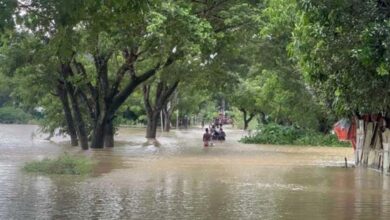 বন্যায় ক্ষতিগ্রস্ত ২ লাখ ৩৮ হাজার লোক, মৃত ১০