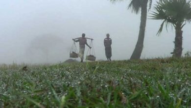 ১৪ ডিগ্রিতে নামল তাপমাত্রা, শীতে কাঁপছে চুয়াডাঙ্গা