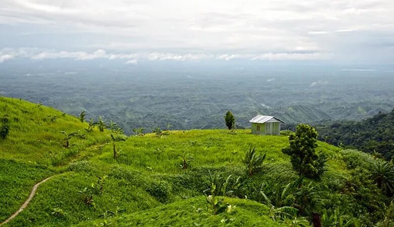 বান্দরবানে ছাড়া পেলেন অপহৃত ২৫ শ্রমিক